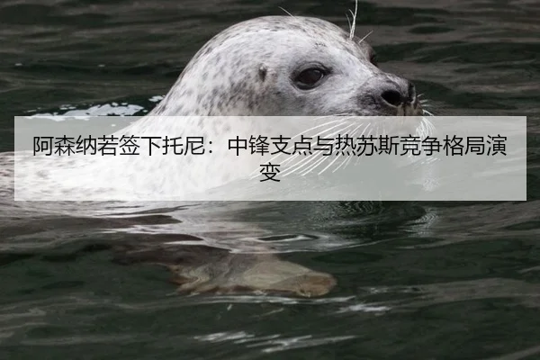 阿森纳若签下托尼：中锋支点与热苏斯竞争格局演变